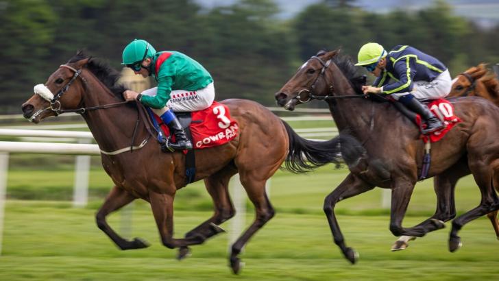 Gowran Park 